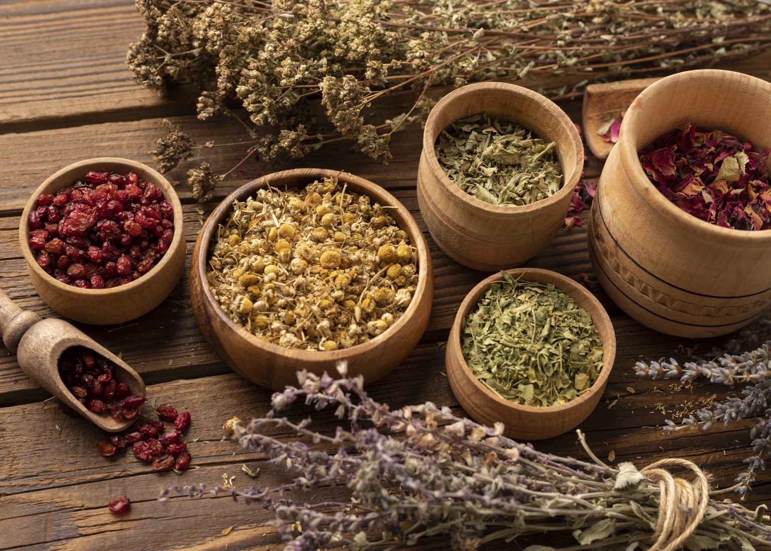 arrangement-natural-various-herbs-high-view